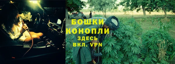 ГАЛЛЮЦИНОГЕННЫЕ ГРИБЫ Михайловск