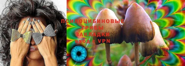 PSILOCYBIN Богородск