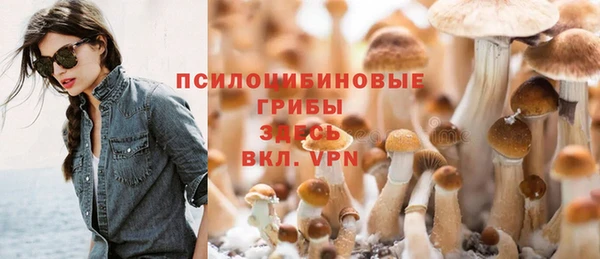 PSILOCYBIN Богородск