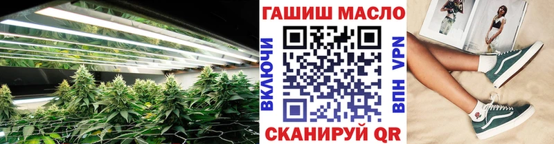 ТГК Wax  Йошкар-Ола 