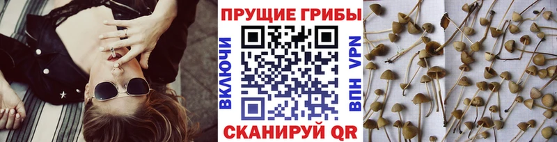 Галлюциногенные грибы MAGIC MUSHROOMS Йошкар-Ола
