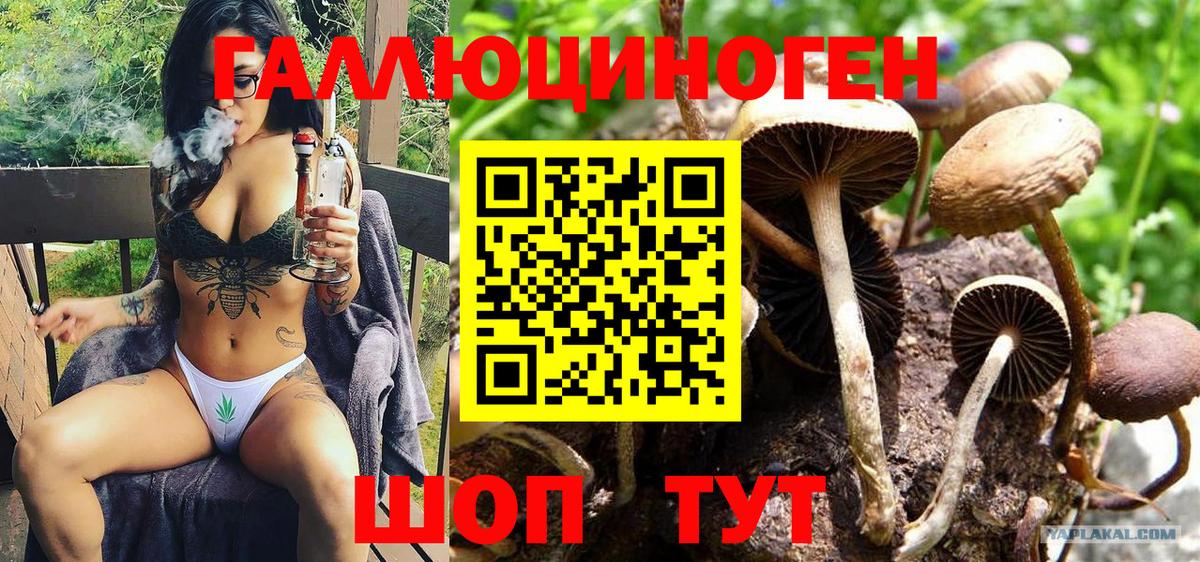 Йошкар-Ола  Псилоцибиновые грибы MAGIC MUSHROOMS  Галлюциногенные грибы Magic Shrooms  где можно купить наркотик  Вход с VPN 